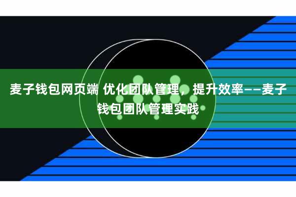 麦子钱包网页端 优化团队管理，提升效率——麦子钱包团队管理实践