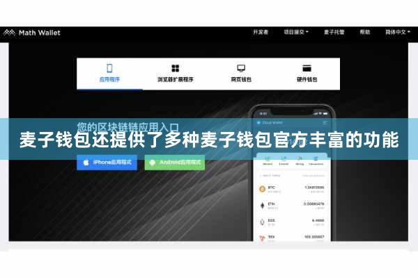 麦子钱包还提供了多种麦子钱包官方丰富的功能
