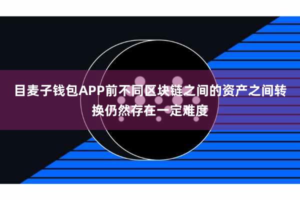 目麦子钱包APP前不同区块链之间的资产之间转换仍然存在一定难度
