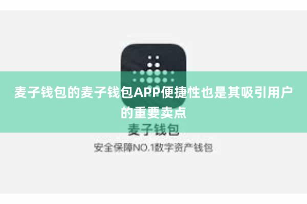 麦子钱包的麦子钱包APP便捷性也是其吸引用户的重要卖点