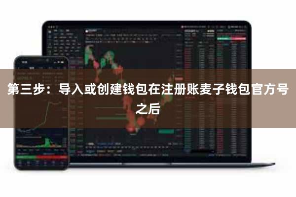 第三步：导入或创建钱包在注册账麦子钱包官方号之后