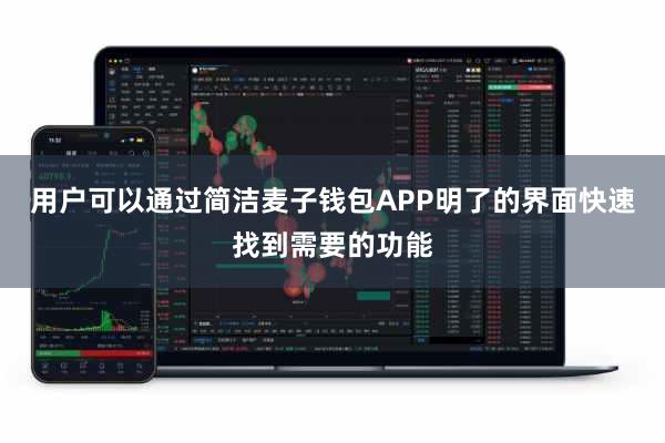 用户可以通过简洁麦子钱包APP明了的界面快速找到需要的功能