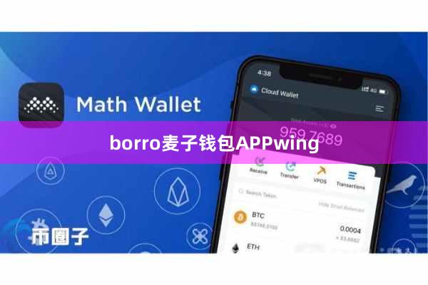 borro麦子钱包APPwing