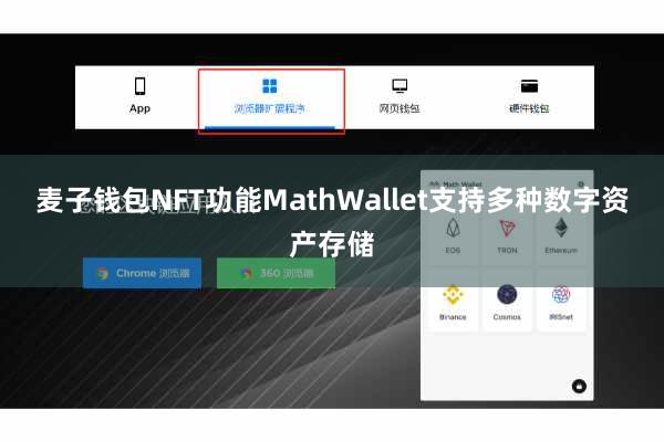 麦子钱包NFT功能MathWallet支持多种数字资产存储