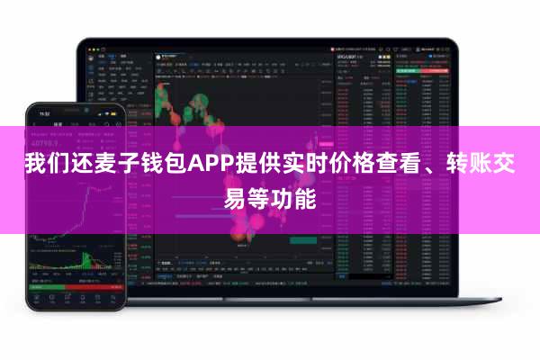 我们还麦子钱包APP提供实时价格查看、转账交易等功能